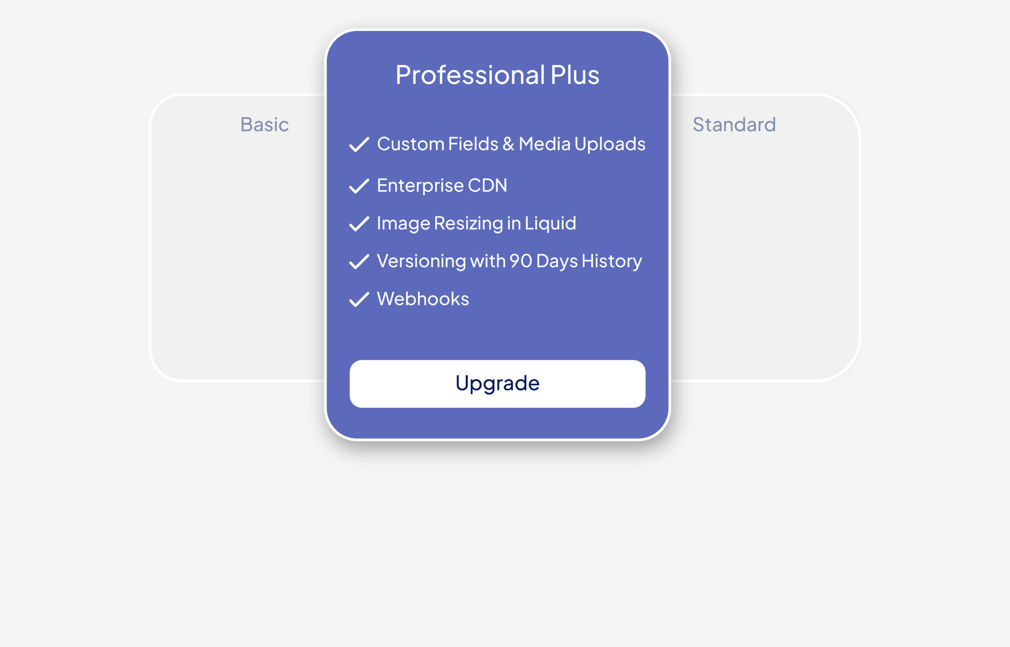 Accentuate Professional Plus Plan
