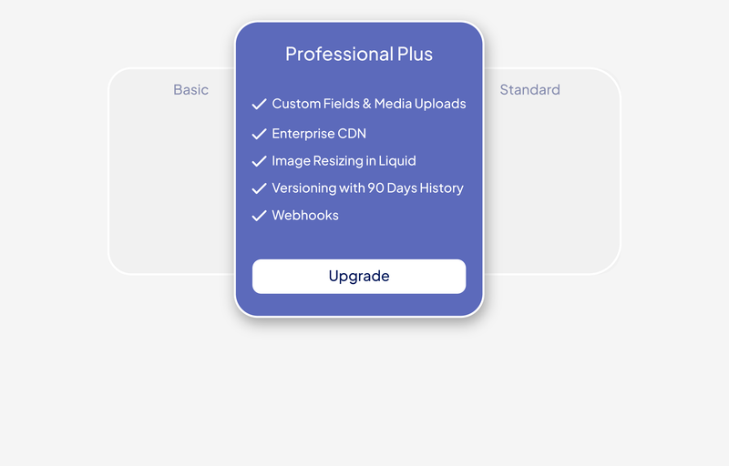 Accentuate Professional Plus Plan